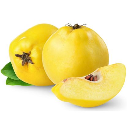 Picture of Quince