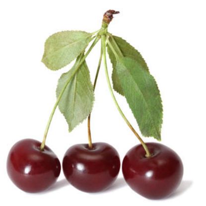 Picture of Sour Cherry