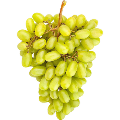Picture of Grapes (Green)