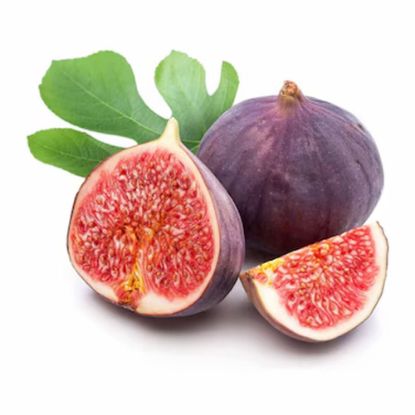 Picture of Fig