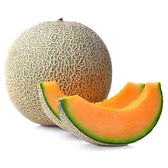 Picture of Cantaloupe