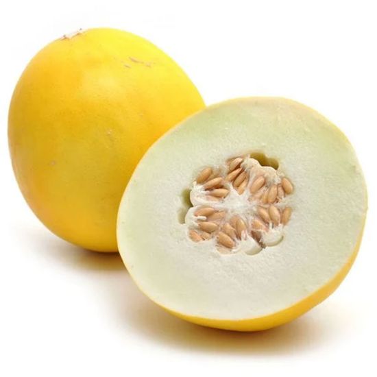 Picture of Honeydew Melon