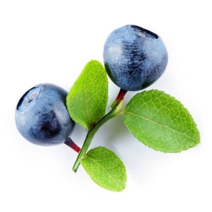 Picture of Blueberry