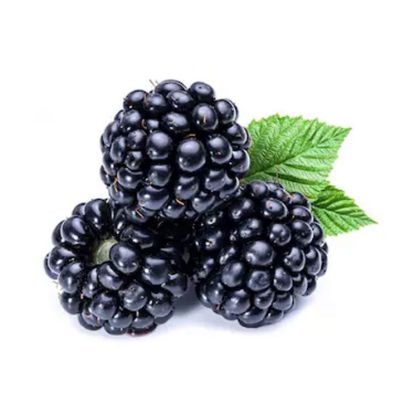 Picture of Blackberry