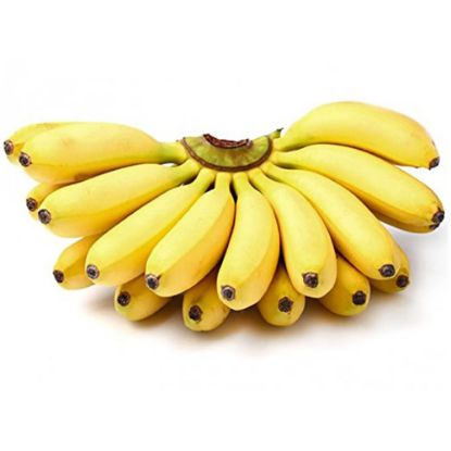 Picture of Baby Banana