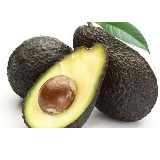 Picture of Avocado