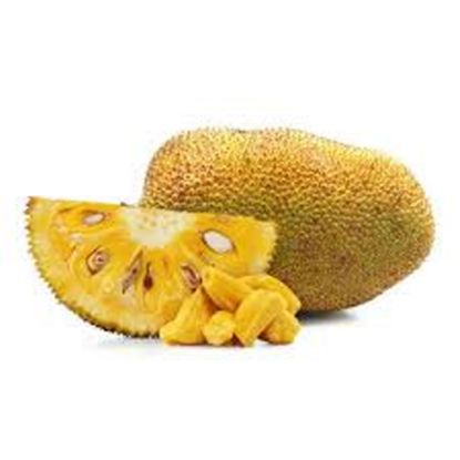 Picture of Jackfruit
