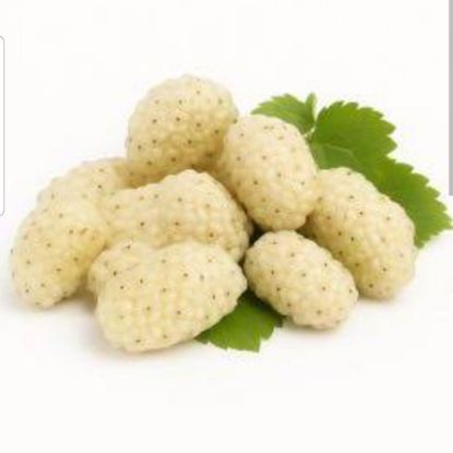 Picture of Mulberry (White)