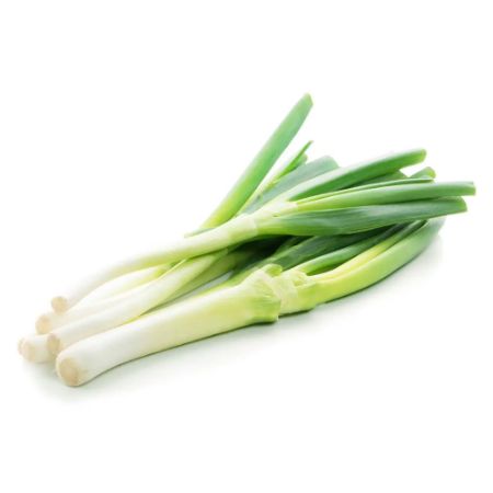 Picture for category Bulb & Allium