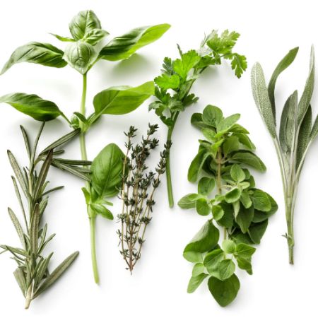 Picture for category Fresh Herbs