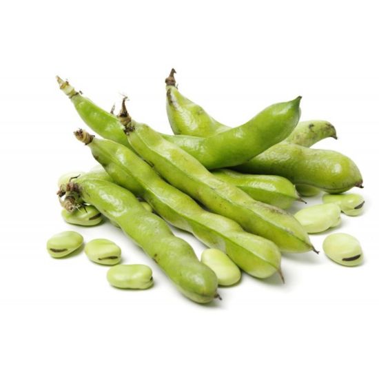 Picture of Fava beans