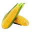 Picture of Sweet corn