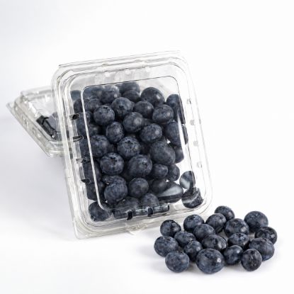Picture of Blueberry