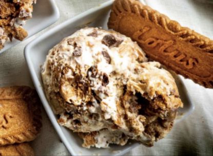 Picture of Lotus Nuts Ice Cream